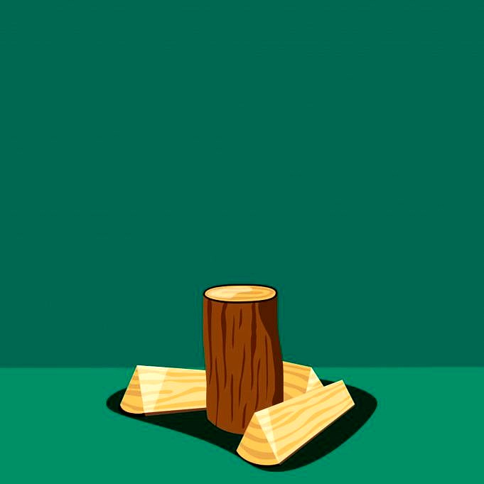Comment savoir si le bois est suffisamment sec pour le travail du bois
